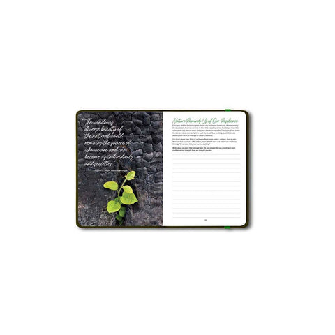 Simon and Schuster Grounded | Journal