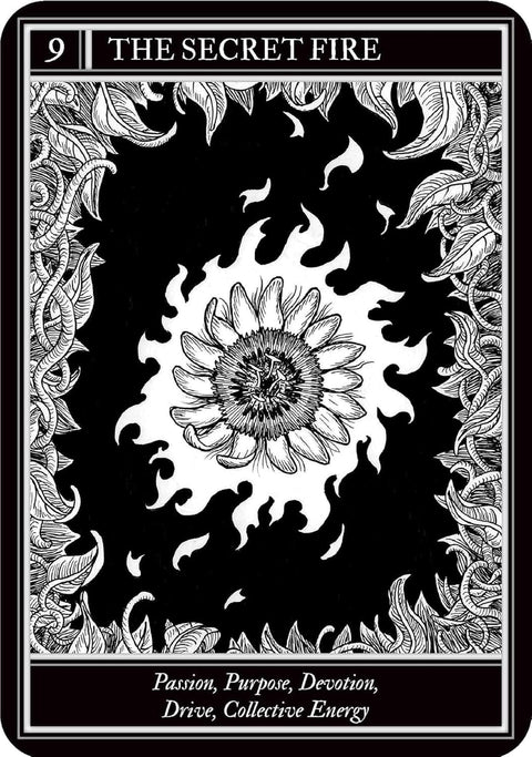 Simon and Schuster Coven Oracle