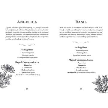 Simon and Schuster Green Witch's Deck of Magical Herbalism