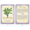 Simon and Schuster Green Witch's Deck of Magical Herbalism