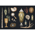 Simon and Schuster The Collector's Curio: A Sticker Treasury By Jessica Roux