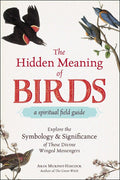 Simon and Schuster The Hidden Meaning of Birds