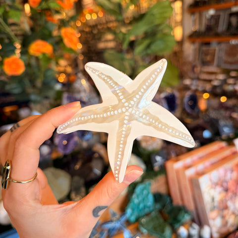 TheDivaSoap Starfish Hair Clip | Beige