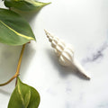 AC Spindle Shell
