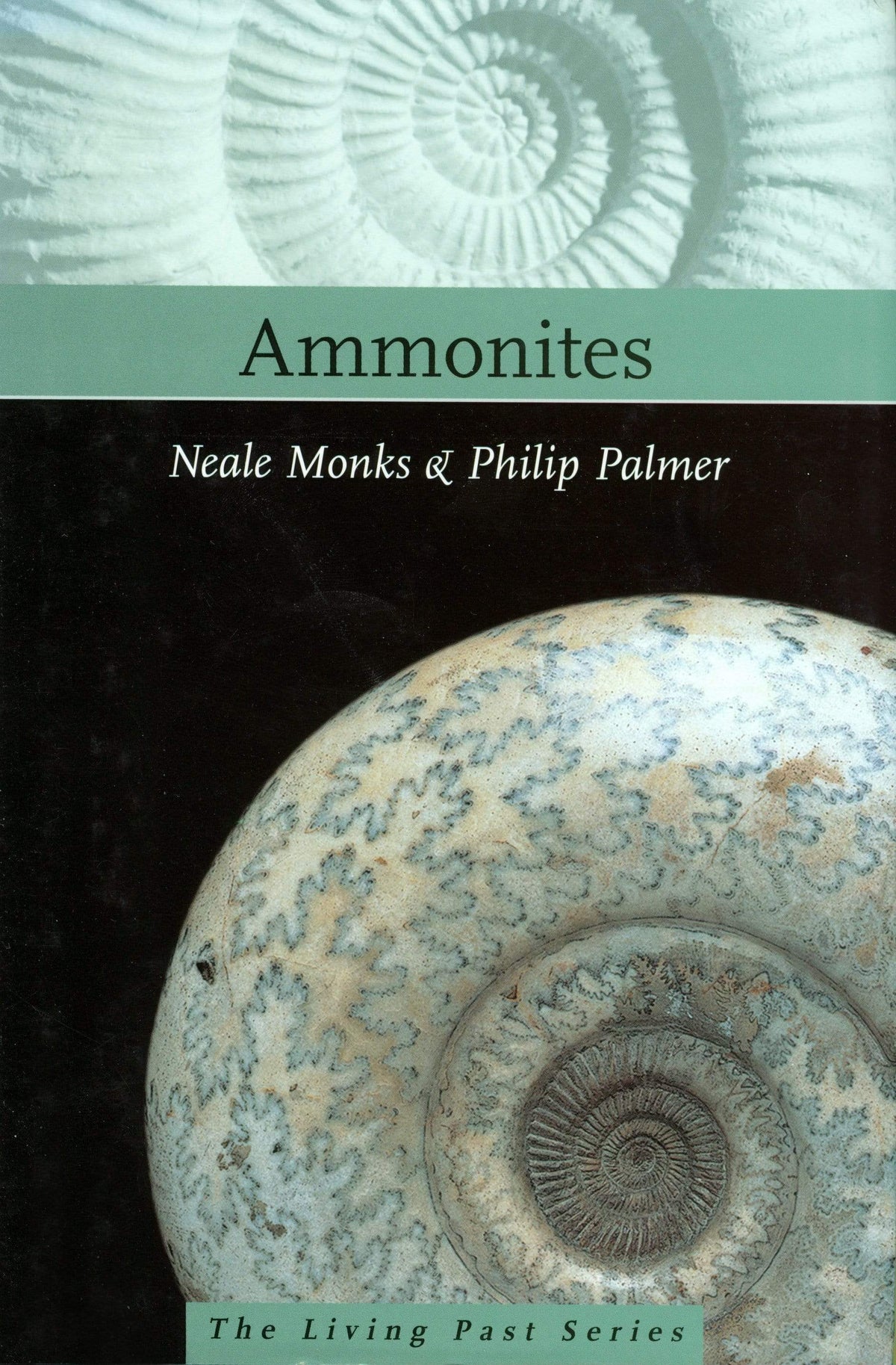 Penguin Random House Ammonites