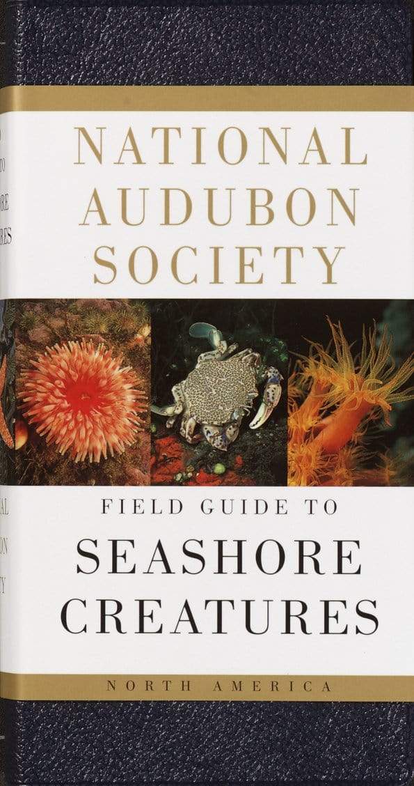 Penguin Random House National Audubon Society Field Guide to Seashore Creatures