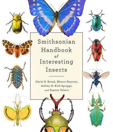 Penguin Random House Smithsonian Handbook of Interesting Insects