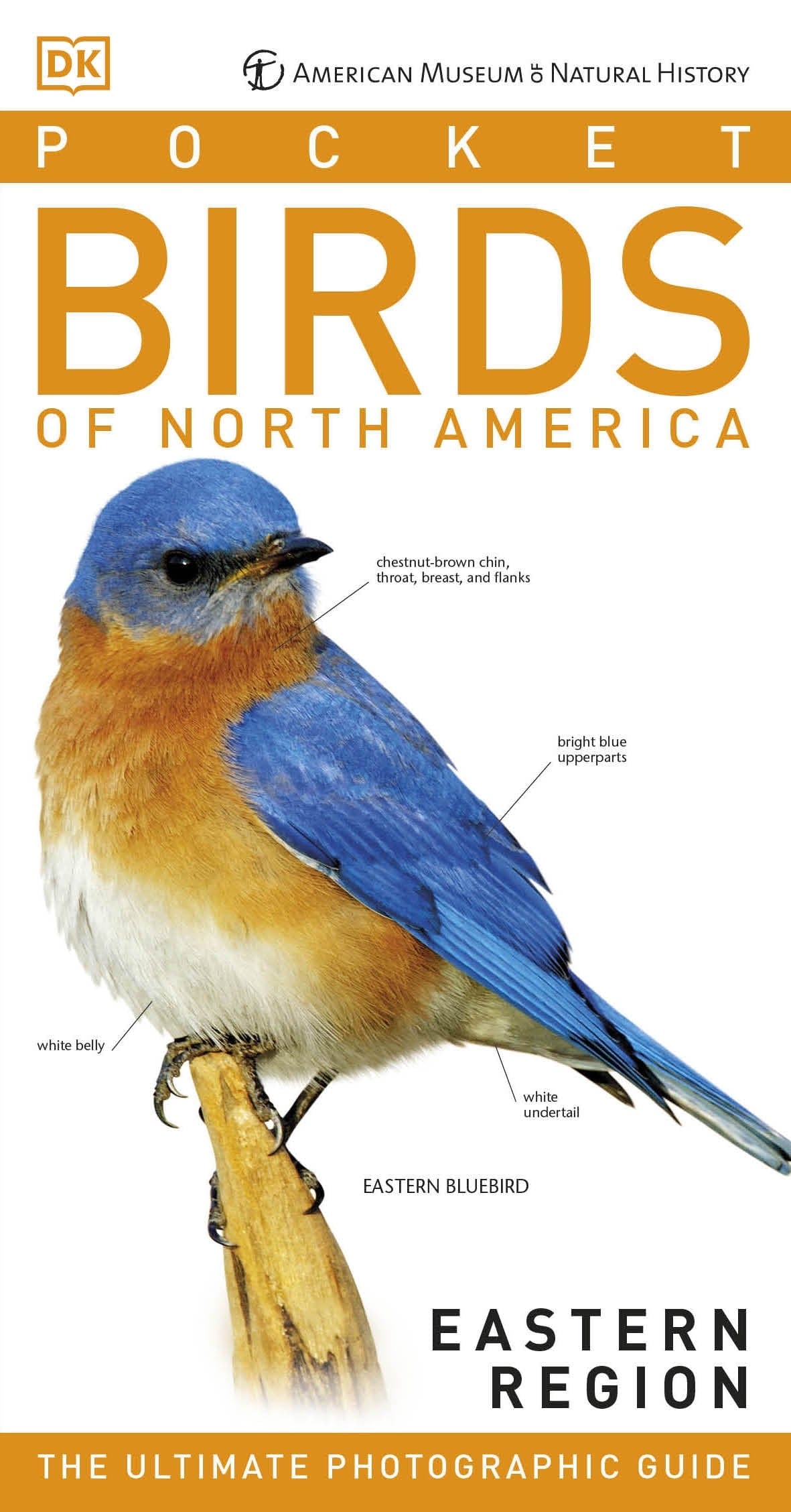 Penguin Random House AMNH Pocket Birds of North America Eastern Region