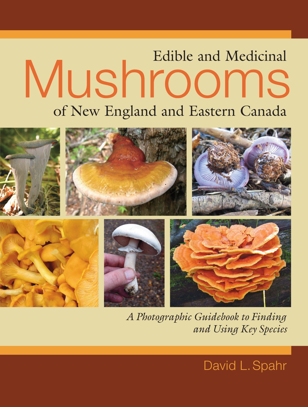Penguin Random House Edible and Medicinal Mushrooms of New England and Eastern Canada