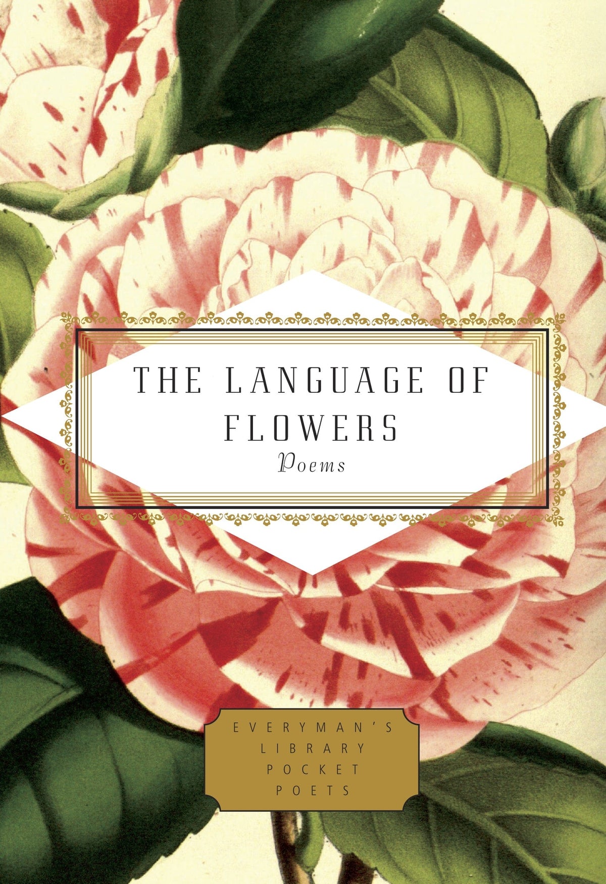 Penguin Random House The Language of Flowers