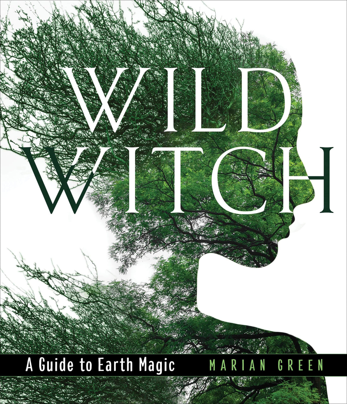 Red Wheel/Weiser Wild Witch
