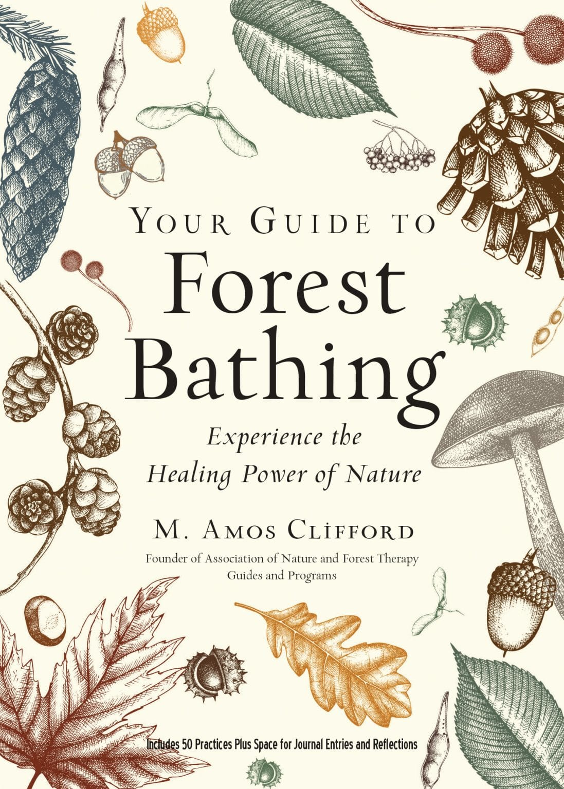 Red Wheel/Weiser Your Guide to Forest Bathing