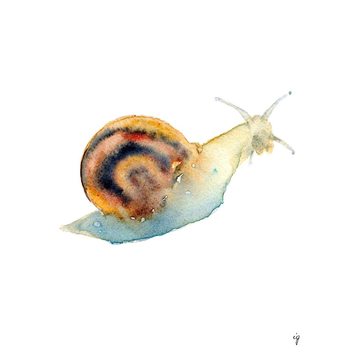 Seattle Art Studio Snail Card
