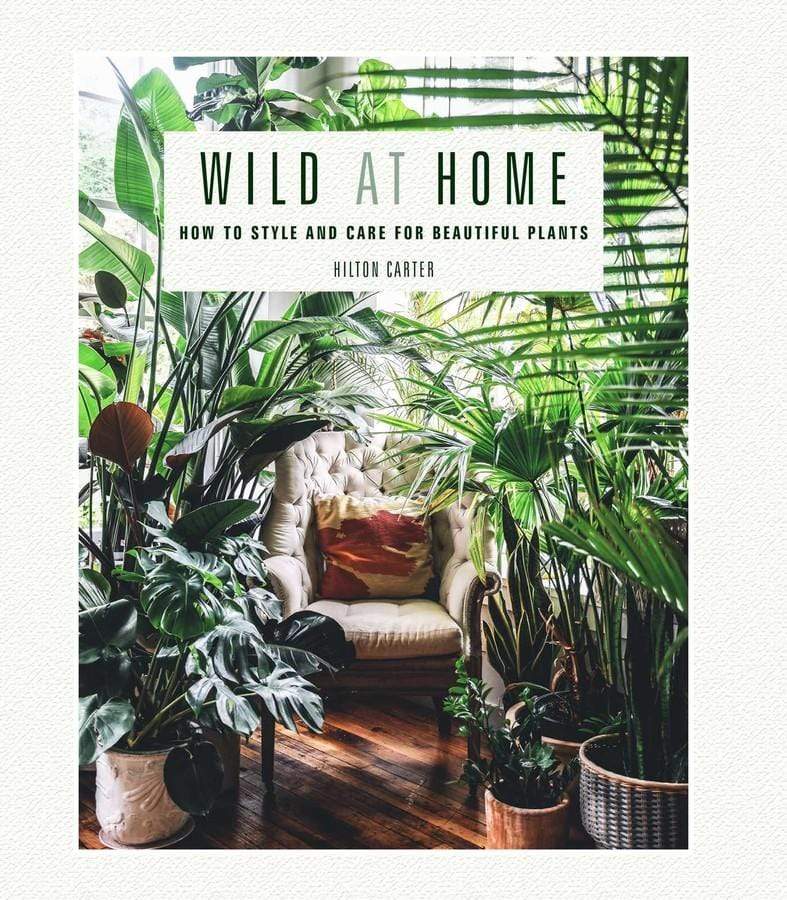 Simon and Schuster Wild at Home