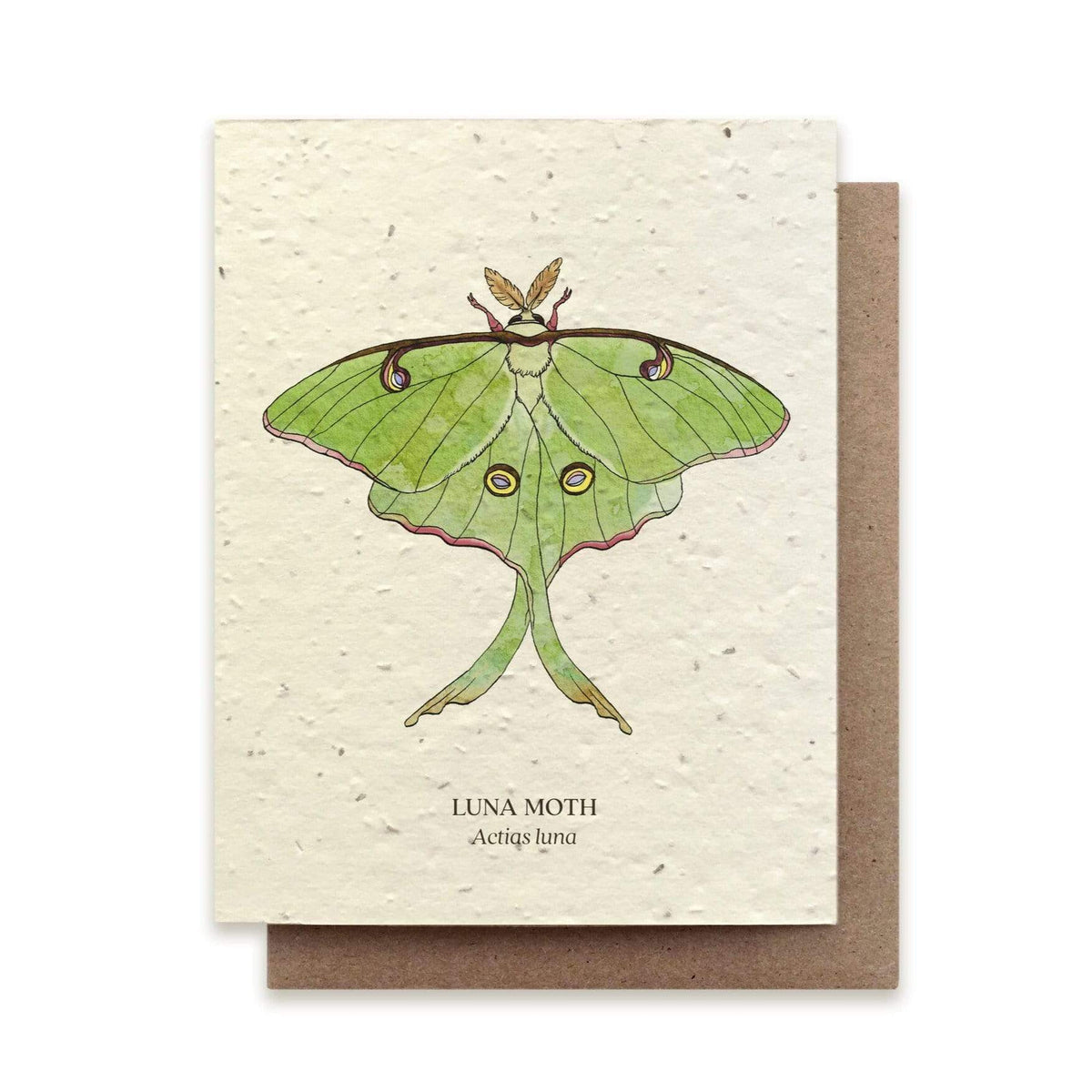 The Bower Studio Luna Moth Plantable Card