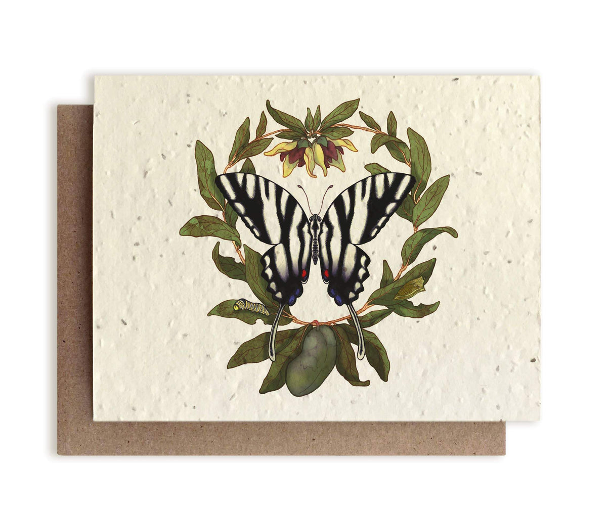 The Bower Studio Zebra Swallowtail Butterfly &amp; Four-Petal PawPaw Plantable Card