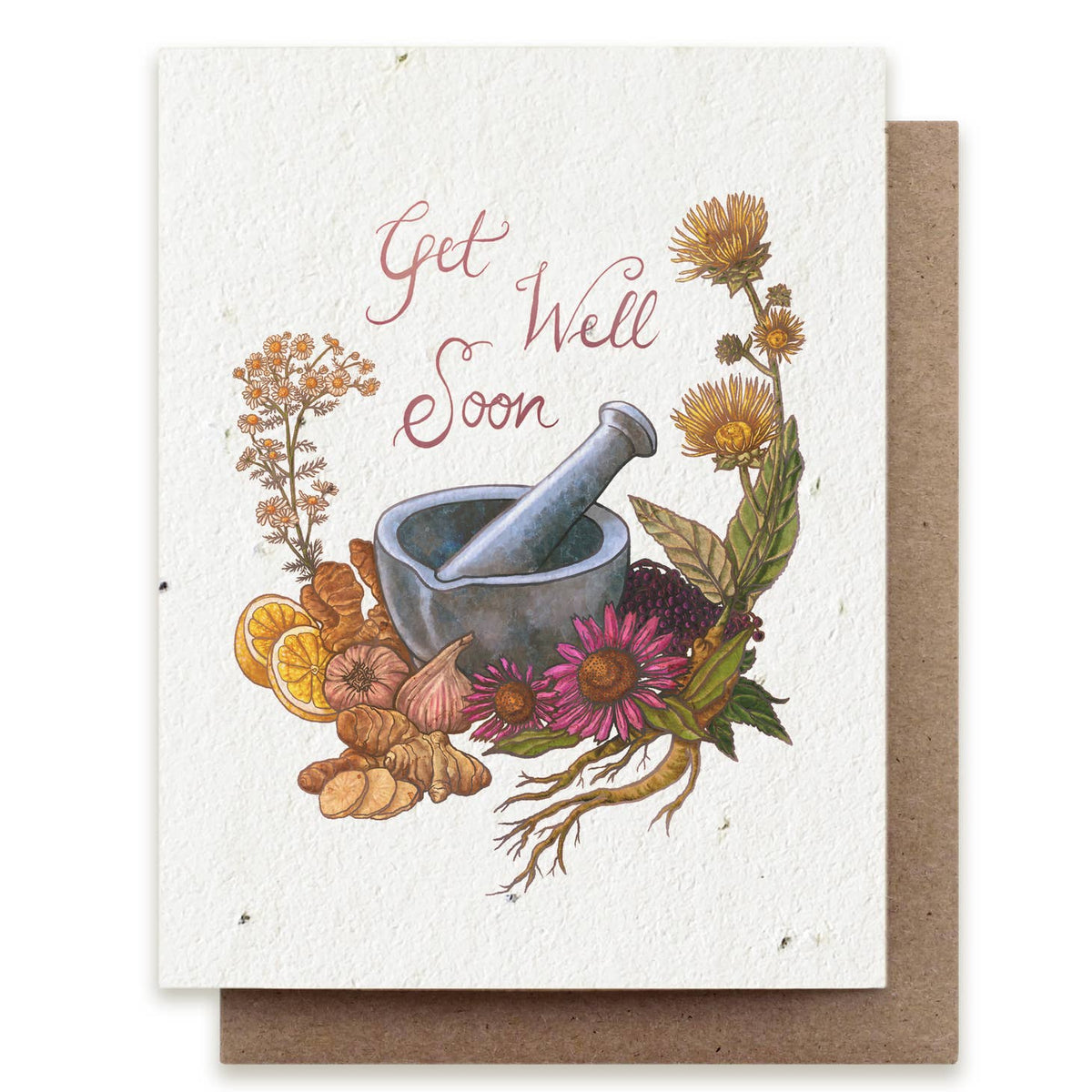 The Bower Studio Get Well Soon Plantable Herb Card